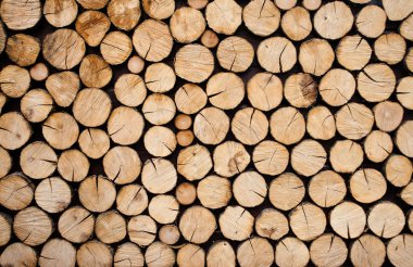 Pile of wood logs clipart