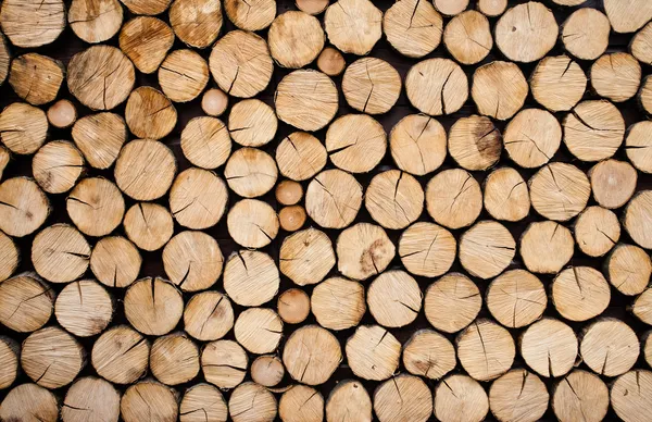 Pile of wood logs — Stock Photo, Image