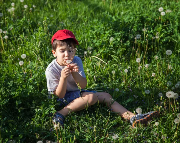 Chico sentado en la hierba y soplando un diente de león — Foto de Stock