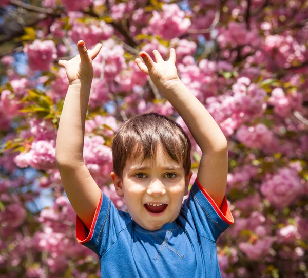 Boy with hands up against cherry blossoms background — Stock Photo, Image