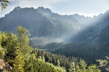 hiking trail üzerinden yüksek tatra Dağları'nın görünümü.