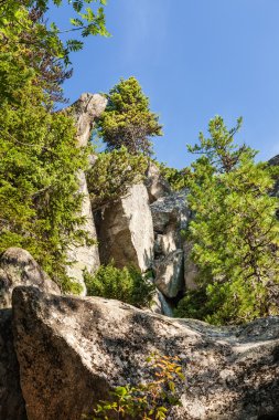 hiking trail üzerinden yüksek tatra Dağları'nın görünümü.