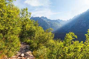 hiking trail üzerinden yüksek tatra Dağları'nın görünümü.