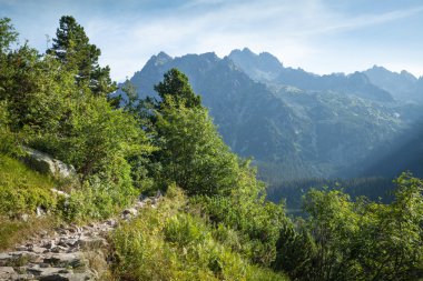 hiking trail üzerinden yüksek tatra Dağları'nın görünümü.