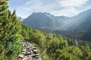 hiking trail üzerinden yüksek tatra Dağları'nın görünümü