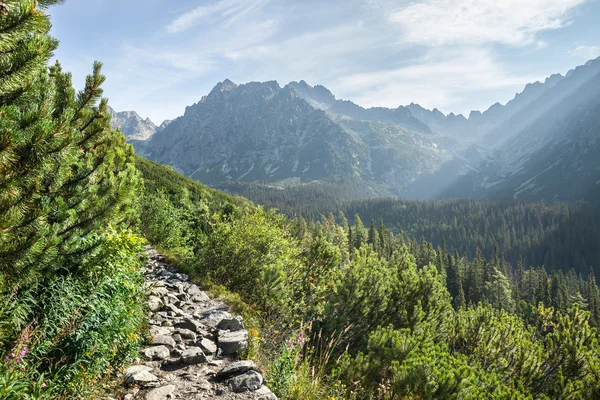 Hiking trail üzerinden yüksek tatra Dağları'nın görünümü — Stok fotoğraf