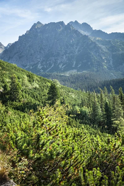 View of High Tatra Mountains from hiking trail. — Stock Photo, Image