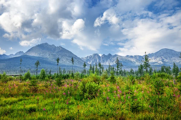 Milli park yüksek tatra. Slovakya — Stok fotoğraf