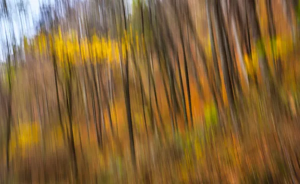 Immagine astratta degli alberi in una foresta autunnale — Foto Stock