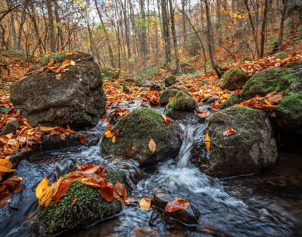 Herfst bos met creek — Stockfoto