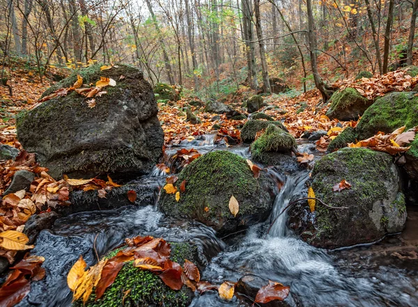 Herfst bos met creek — Stockfoto