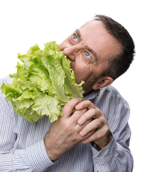 Hombre sosteniendo lechuga aislada en blanco —  Fotos de Stock