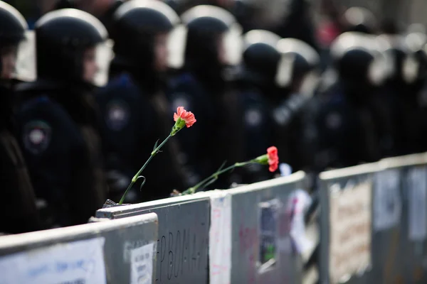 KIEV, UKRAINE - NOVEMBER 30: Two cloves pink and police — Stock Photo, Image