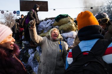 Kiev, Ukrayna - ö. 26 Ocak 2014: kitle hükümet karşıtı protesto