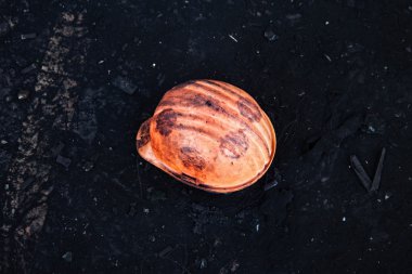 Kiev, Ukrayna - ö. 26 Ocak 2014: kitle hükümet karşıtı protesto