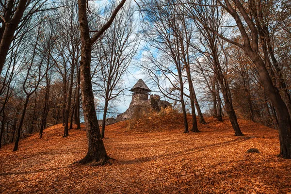 Stary zamek w jesień las — Zdjęcie stockowe