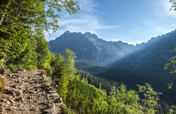 Pohled z Vysokých Tater z turistické stezky. — Stock fotografie