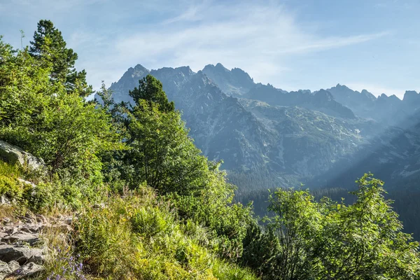 hiking trail üzerinden yüksek tatra Dağları'nın görünümü.