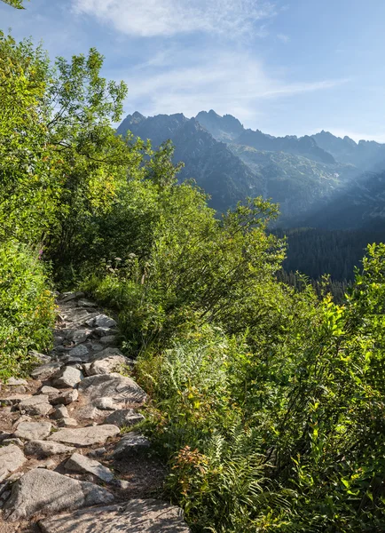 Vue des Hautes Tatras depuis le sentier de randonnée . — Photo