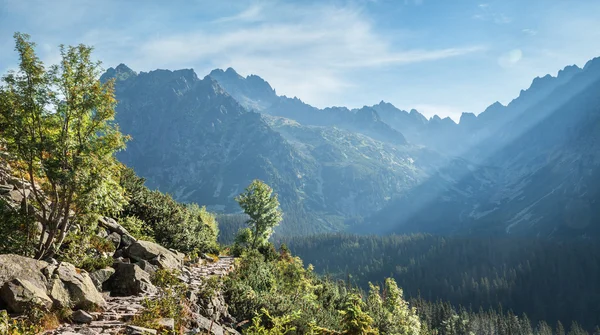 Hiking trail üzerinden yüksek tatra Dağları'nın görünümü. — Stok fotoğraf
