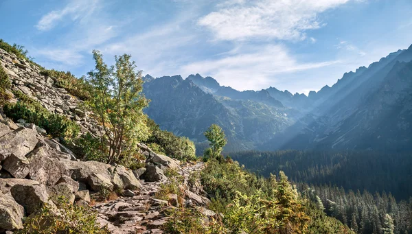 Utsikt över höga tatra bergen från vandringsled. — Stockfoto