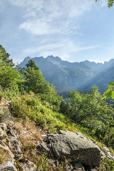 Vue des Hautes Tatras depuis le sentier de randonnée . — Photo