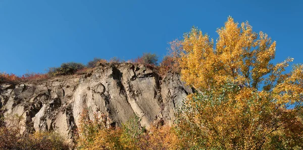 Golden Autumn Colourful Trees Old Quarry Rocks Yellow Trees — Stock Photo, Image