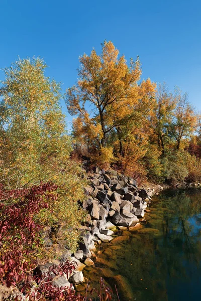 Golden Autumn Colourful Trees Old Flooded Quarry Rocks Lake Yellow — Stock Photo, Image