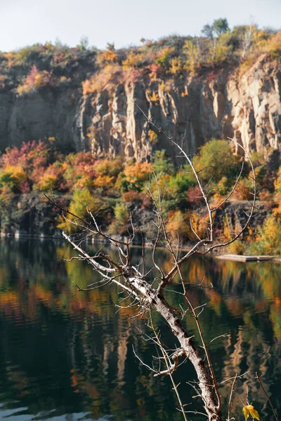 Golden Autumn Colourful Trees Old Flooded Quarry Rocks Lake Yellow — Stock Photo, Image