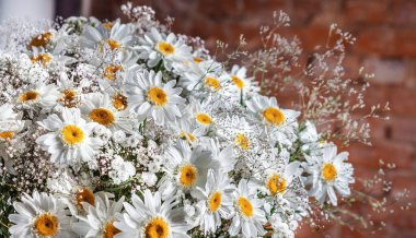 Bir buket güzel papatya çiçeği ve karanlık bir arka planda jigolo dekoru.
