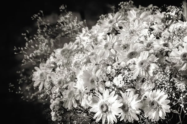 暗い背景にジプシーの装飾が施された美しいカモミールの花の花束 — ストック写真
