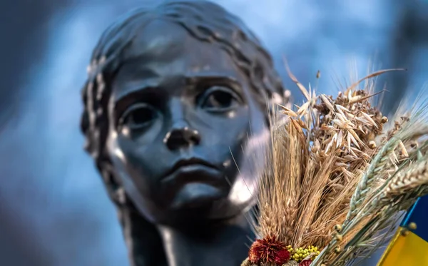 Kyiv Ukraine 2021年11月27日 ホロドモールの犠牲者への記念碑 1923年から1933年までのウクライナにおける飢饉による大量虐殺の犠牲者の追悼式 — ストック写真