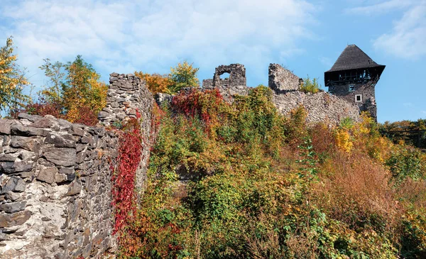 Nevitsky Zamek Jesienią Ruiny Starożytnego Zamku Zbudowanego Xiii Wieku Jeden — Zdjęcie stockowe