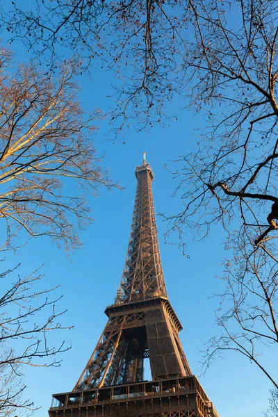 Torre Eiffel París Soleado Día Invierno Torre Eiffel Con Árboles — Foto de Stock