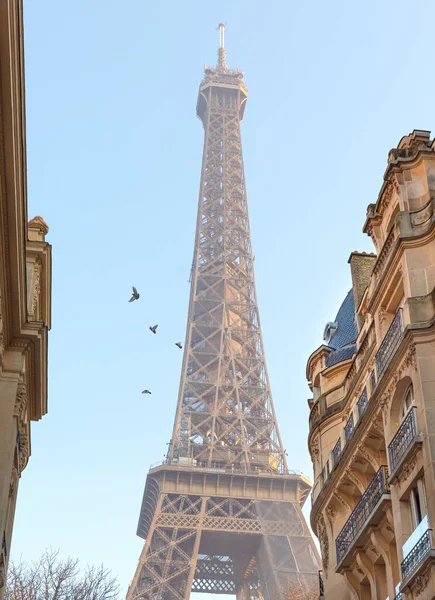 Torre Eiffel Edificios Residenciales Típicos Primer Plano Torre Eiffel Uno — Foto de Stock