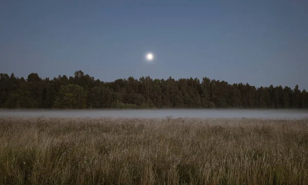 Kvällslandskap Med Månen Himlen Dimma Fältet Och Kanten Skogen Panoramabild — Stockfoto