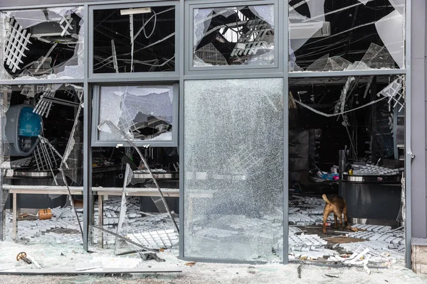 Bucha Ukraine Apr 2022年3月3日 俄罗斯占领军撤出布查后 该市街道上的混乱和破坏 商店橱窗破了 — 图库照片
