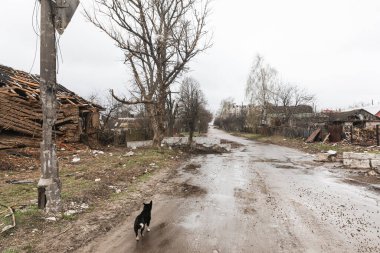 CHERNIHIV Reg., UKRAINE - Nisan. 18, 2022: Rusya 'nın Ukrayna' ya karşı savaşı. Rus işgalcilerin saldırısı sonucu Chernihiv bölgesinde tamamen yıkılmış evler ve kaos.