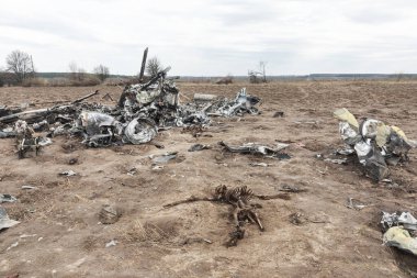 MAKARIV, UKRAINE - Nisan. 23, 2022: Makariv köyü yakınlarındaki bir tarlanın ortasında düşmüş ve yanmış bir helikopterin enkazı arasında ölen Rus askeri pilotların iskeletleri