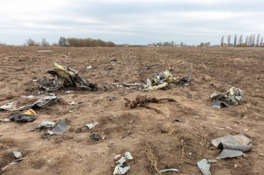 MAKARIV, UKRAINE - Nisan. 23, 2022: Makariv köyü yakınlarındaki bir tarlanın ortasında düşmüş ve yanmış bir helikopterin enkazı arasında ölen Rus askeri pilotların iskeletleri