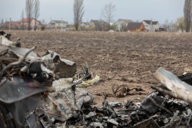 MAKARIV, UKRAINE - Nisan. 23, 2022: Makariv köyü yakınlarındaki bir tarlanın ortasında düşmüş ve yanmış bir helikopterin enkazı arasında ölen Rus askeri pilotların iskeletleri