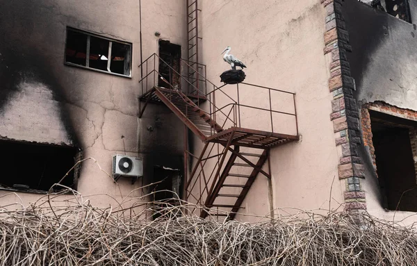 Makariv Ukraine Apr 2022 Völlig Und Teilweise Zerstörte Häuser Dorf — Stockfoto