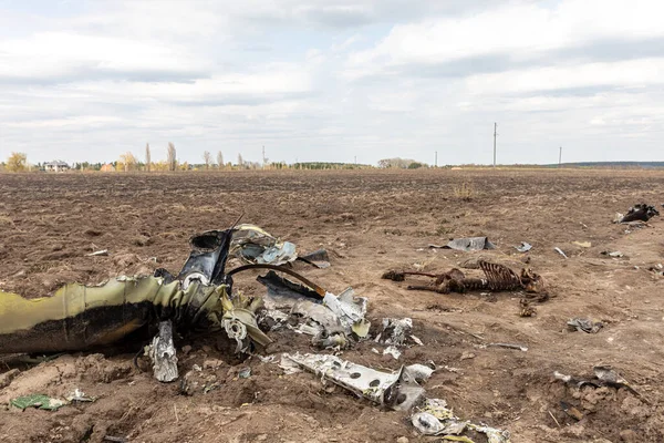 Makariv Ukraine Apr 2022 Skeletons Dead Russian Military Pilots Wreckage — стокове фото