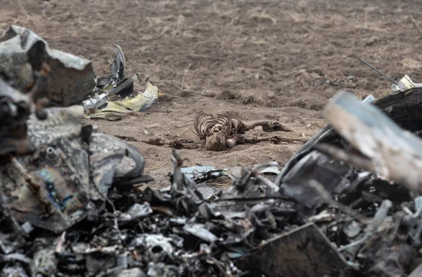 Makariv Ukraine Apr 2022 Skeletons Dead Russian Military Pilots Wreckage — стокове фото