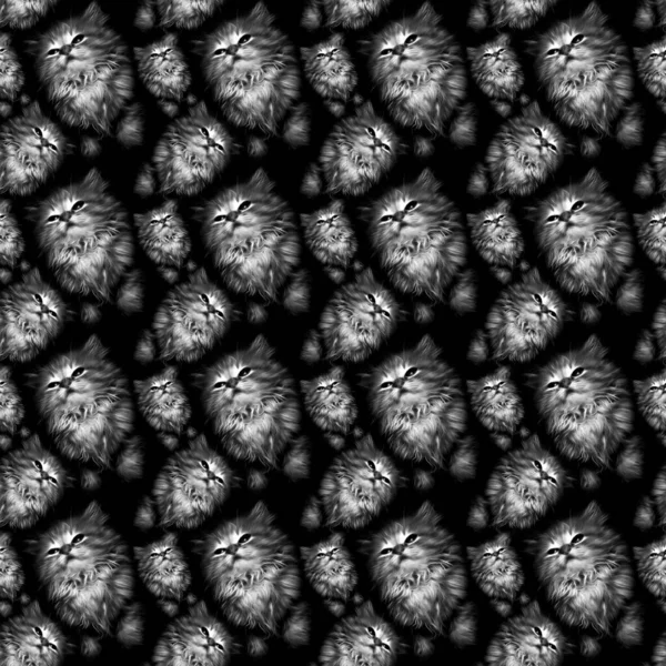 Nahtloses Muster Mit Abstrakten Kätzchen Auf Schwarzem Hintergrund — Stockfoto