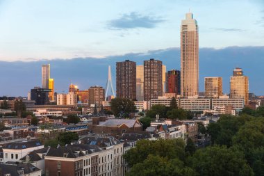 Rotterdam, Hollanda - 30 Mayıs 2022: Çatı manzaralı Rotterdam Panoraması. Rotterdam 'ın şehir manzarası ve mimarisi.