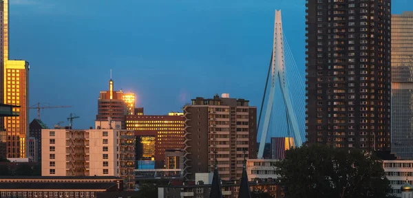 Rotterdam Hollanda Mayıs 2022 Rotterdam Şehir Merkezinde Çatıları Erasmusbrug Köprüsü — Stok fotoğraf