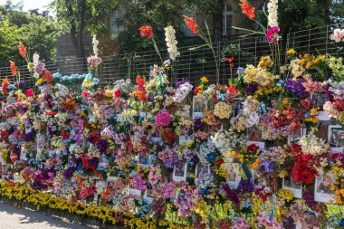 LVIV, UKRAINE - Jun. 08, 2022: A Wall of Memory has appeared in the center of Lviv in honor of the Ukrainians who died (and not only) in the war waged against us by Russia.