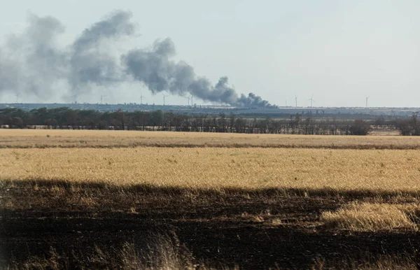 South Reg Ukraine Jun 2022 War Ukraine Fields Wheat Fire – stockfoto