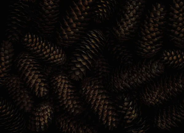 Fir Cones Dark Tone Natural Background Texture — стоковое фото